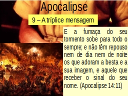 Slide 11