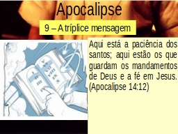 Slide 12