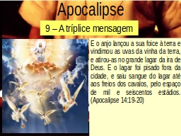 Slide 17